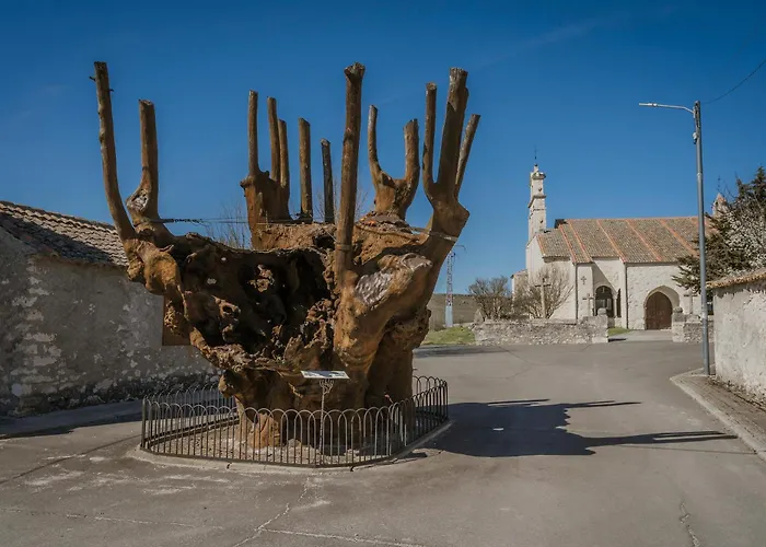 Hoyal De Pinares 컨트리하우스 Frumales